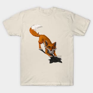 How to live - aware and playful - fox T-Shirt